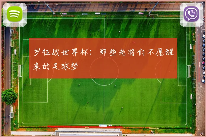 岁征战世界杯：那些老将们不愿醒来的足球梦