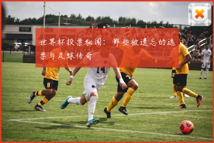 世界杯投票秘闻：那些被遗忘的选票与足球传奇