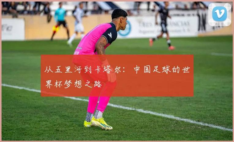 从五里河到卡塔尔：中国足球的世界杯梦想之路