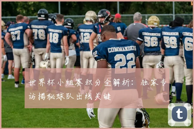 世界杯小组赛积分全解析：独家专访揭秘球队出线关键