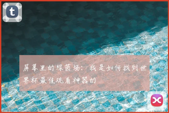 屏幕里的绿茵场：我是如何找到世界杯最佳观看神器的