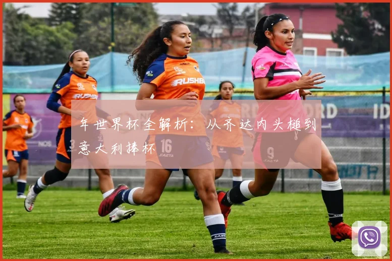 年世界杯全解析:从齐达内头槌到意大利捧杯