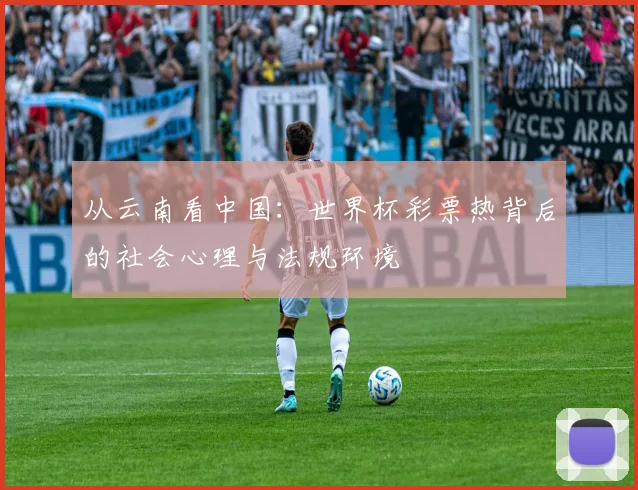 从云南看中国：世界杯彩票热背后的社会心理与法规环境