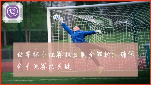 世界杯小组赛积分制全解析:确保公平竞赛的关键