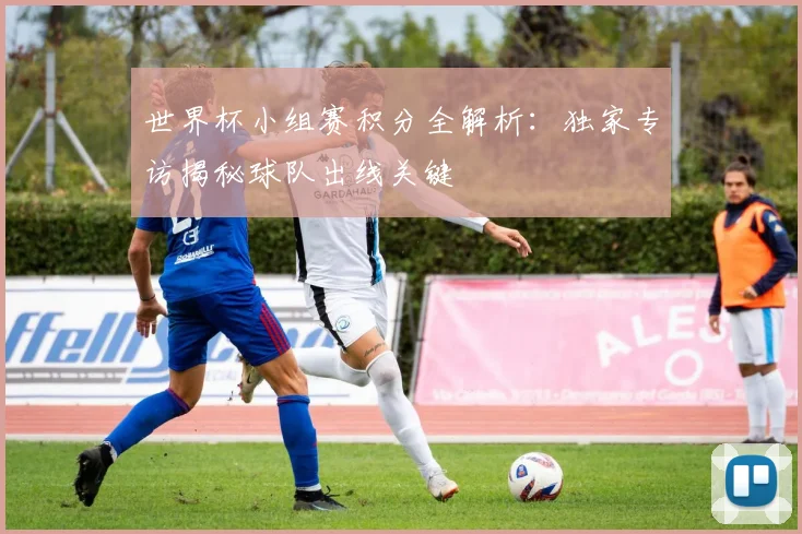 世界杯小组赛积分全解析：独家专访揭秘球队出线关键